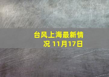 台风上海最新情况 11月17日